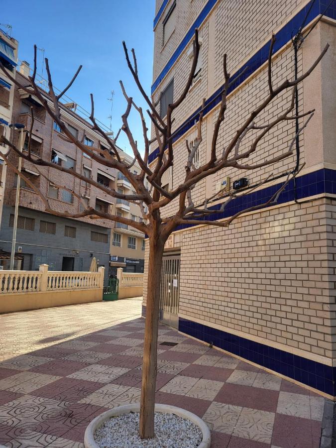 Prachtig Gemoderniseerde Woning Op 250 Meter Van Het Strand Santa Pola Exteriér fotografie