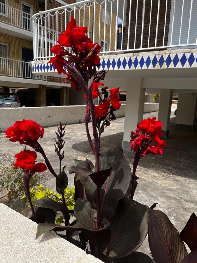 Prachtig Gemoderniseerde Woning Op 250 Meter Van Het Strand Santa Pola Exteriér fotografie